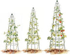 Vego Garden 7.8 ft Pyramid Obelisk Garden Trellis, Metal Rustproof Plant Support Rose Trellis, Tower Potted Cages for Flowers Fruits Vegetable Vines Indoor & Outdoor - Image 7