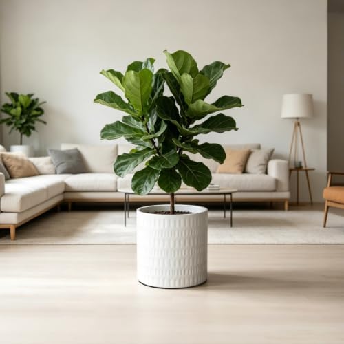 10 Inch Ceramic Plant Pot with Drainage - Image 7