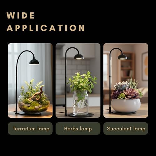 Desktop Grow Lamp Terrarium Light Plant Light on Table with Flexible Gooseneck Lamp for Terrarium Kitchen Vetegable Succulent Lamp with Auto Timer 3/6/12Hrs, 4 Brightness Levels (Black) - Image 3