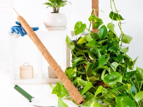 Envelor Coco Moss Poles Plant Support Stakes Coco Plant Stake Pothos Coir Totem Pole Monstera Moss Pole Climbing Plant Support Potted Plant Upward Growth Vine Stackable Coco Sticks, 36 inches, 4 Pack - Image 2