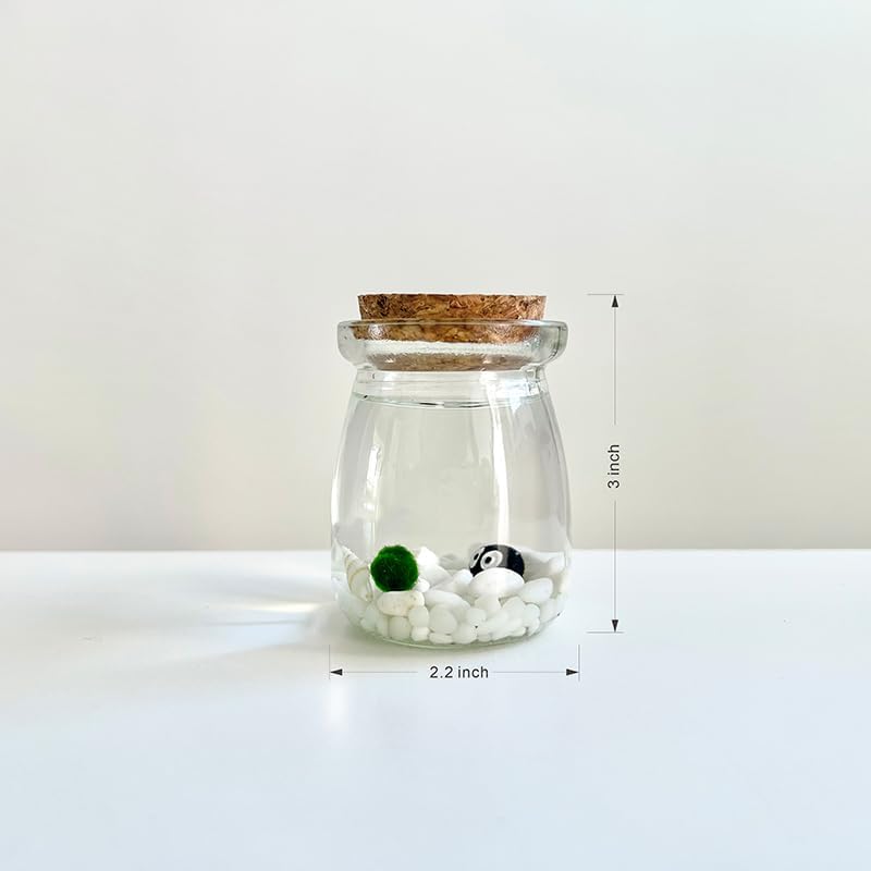 Moss Pet Glass Terrarium Jar Kit with Cork Lid, Mini Desktop Moss Plant Aquarium Decor, Home Ornament Gift - Image 3