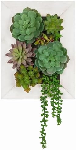 Wall Artificial Succulent Hanging Decor Plants Fake Succulents String of Pearls Arrangement with Wooden White Frames Faux Plants Hanging Boho Decor for Livingroom Bedroom Home Decor 10.2"x 2.3"x 13.7" by GnFlus