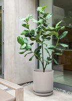 Veradek Mason Series Lima Planter Tray - Image 4