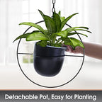 2 Pack Hanging Planter with 5.5" Pot, Metal Hanging Plant Holder - Image 6