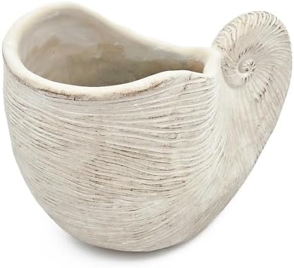 Nautilus Shell Planter, 11.5 Inch, Textured Beige Finish - Image 4