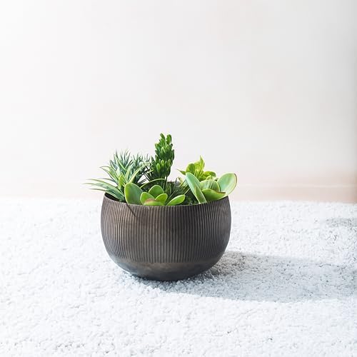 FAB HAB Sow Antique Brass Bowl Metal Planters - Small, Handmade Aluminum Pots for Indoor & Covered Outdoor Spaces, Lightweight Decorative Planters by FabHabitat