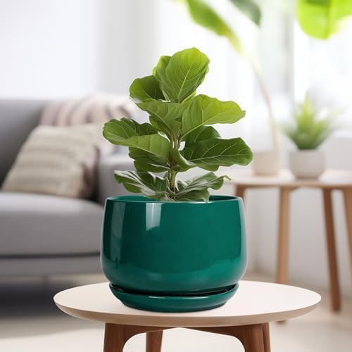 G EPGardening Ceramic Pots for Plants, 9 Inch Ceramic Planter, Green - Image 4