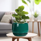G EPGardening Ceramic Pots for Plants, 9 Inch Ceramic Planter, Green - Image 4