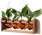 Plant Propagation Stations Heart Plant Terrarium Kit by CYZglass