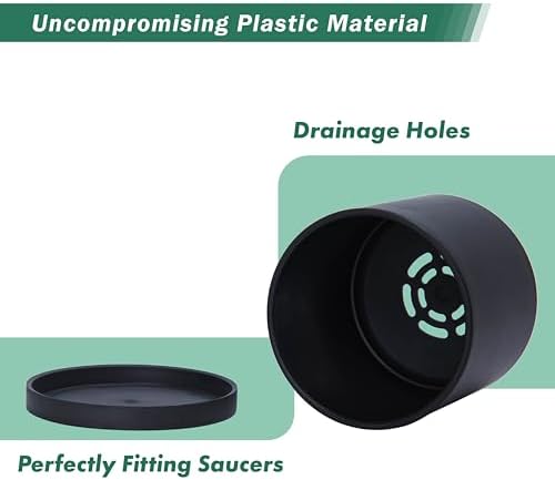 D'vine Dev 6-Pack Black Plastic Planters with Saucers, 4 in, 74-Y-E-3 - Image 4