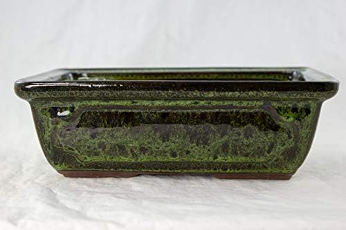 8" Rectangular Moss Green Bonsai Pot, Cactus & Succulent Planter + Tray + Rock + Mesh Combo (A768-8MG Combo) - Image 5