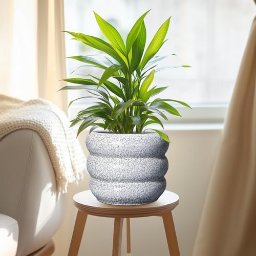 SQOWL Ceramic Pots for Plants - 8 Inch Plant Pot with Drainage Hole, Round Planter for Indoor Plants, Ceramic Flower Pots Outdoor, Modern Planter, Room Decor, Gifts for Plant Lover, Black and White - Image 5