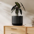 LE TAUCI 8 Inch Plant Pot, Ceramic Pots for Plants, Black by LETAUCI