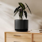 LE TAUCI 8 Inch Plant Pot, Ceramic Pots for Plants, Black by LETAUCI