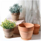 Flower pots Indoor Bowl-Shaped Red Clay Flowerpots Outdoor Indoor - Image 4