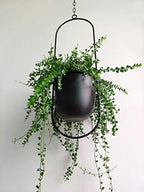 RISEON Boho Black Metal Plant Hanger,Metal Wall and Ceiling Hanging Planter, Modern Planter, Mid Century Flower Pot Plant Holder, Minimalist Planter for Indoor Outdoor Home Decor - Image 5
