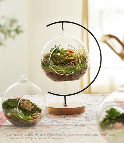LuckyRunes DIY Glass Terrarium Kit with Live Moss & Mini Tools - Image 4