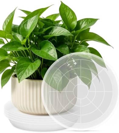 PACETAP 20 inch 5 Pack Plant Saucer Pot Tray, Large Thickened PP Plastic Flower Planter Water Drip Trays for Indoor Outdoor Garden, Semi-Transparent Planter Water Catcher for Pot, Plant Dish by PACETAP