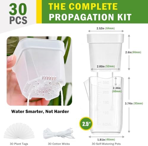 30 Pack 2.5" Small Self Watering Pots for Indoor Plants with 30 Plant Label Mini Clear Plastic Planters with Water Level and Drainage Holes for Propagation, Succulents, and African Violet - Image 2