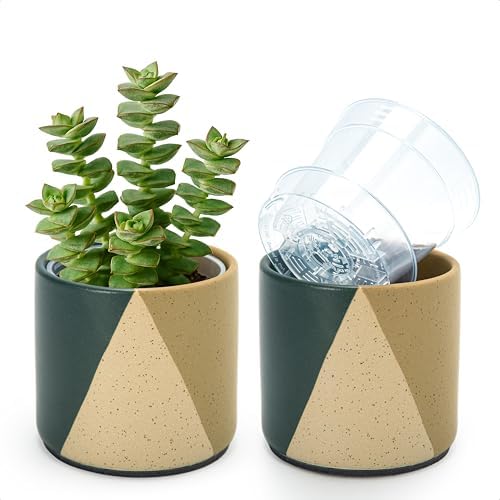 D'vine Dev 2-Pack Cachepot with Clear Pot, 4.5 in, Desert Forest, 93-V-B-1 by DvineDevPlanterPotsandStand