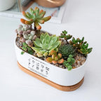 Personalized Birth Month Flower Plant Pot with Kids Names,Custom Grandma's Garden Ceramic Succulent Planter with Bamboo Tray Indoor Outdoor Home Decor Plants, for Mom Grandma,A2 - Image 4