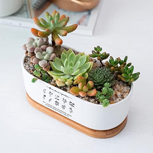Personalized Birth Month Flower Plant Pot with Kids Names,Custom Grandma's Garden Ceramic Succulent Planter with Bamboo Tray Indoor Outdoor Home Decor Plants, for Mom Grandma,A6 - Image 4