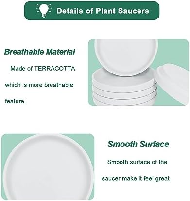 vensovo 6 Inch White Terracotta Plant Saucers, 6 Pack Small Clay Trays - Image 6