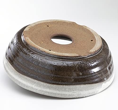 Wazakura Shigaraki Series Handmade White Stripe Glazed Ceramic Bonsai Pot - Image 3