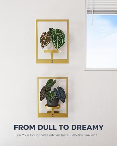 Bamworld Wall Plant Holder Plant Stand Indoor Wall Planters Gold - Image 4