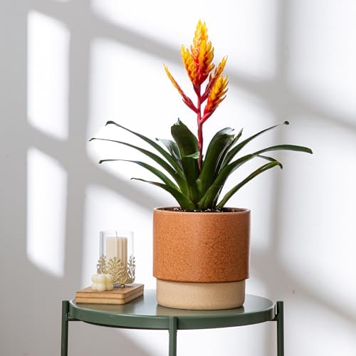 8 Inch Ceramic Self Watering Planter with Drainage Hole Terracotta - Image 4