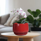 G EPGardening Ceramic Planter 7 Inch - Flower Pots for Indoor Plants, Round Planter with Drainage and Ceramic Tray, Modern Plant Pot, Bathroom Decor, Teacher Gifts, Red - Image 2