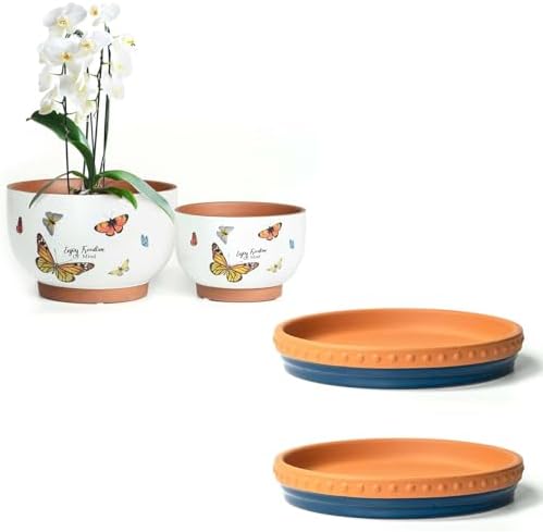 Glazed Terracotta Pot Sets & Saucers Set by YBXYIBOXUAN