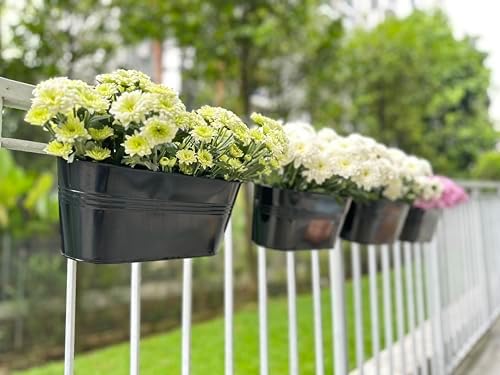 LaLaGreen Outdoor Plants Rail Planter (11.2 Inch, 10 Pack) Black Metal Iron Hanging Flower Pots Deck Railings Fence Buckets Modern Boho Style Wall Mount Window Box Plant Holder Hooks Porch Home Decor - Image 2
