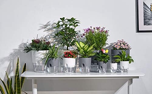 Self Watering Planter for Indoor Plants, 2 Pack 9.3 Inch Flower Pot Modern Decorative Plastic Planter with Extra Large Water Storage for All House Plants, Flowers, Herbs(White) - Image 5