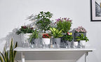 Self Watering Planter for Indoor Plants, 2 Pack 9.3 Inch Flower Pot Modern Decorative Plastic Planter with Extra Large Water Storage for All House Plants, Flowers, Herbs(White) - Image 5
