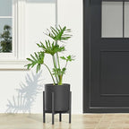 FaithLand 10-Inch Modern Cylinder Planter, Thick-Walled Plastic Plant Pot with Drainage Holes and Detachable Saucer, Matte Black, Ideal for Indoor & Outdoor Plants Flowers - Image 5