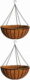 24" Georgian Rigid Iron Hanging Basket (C960) with Coco Moss Liner and Heavy Duty Chain Hanger - 2 Sets by Topiary+Art+Works