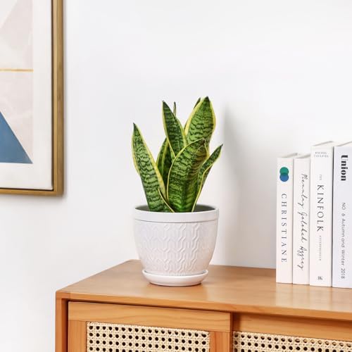 6.5" Ceramic Plant Pots Set of 2, Crisp White Embossed Planters with Saucer - Image 7