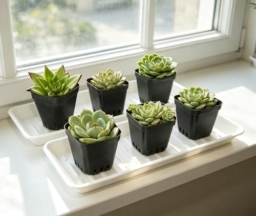 2 Pack Plastic Plant Tray Saucer Rectangular 20 21 Inch, Planter Trays Saucers Indoor Outdoor, Water Drip Tray for Flower Pot, Windowsill, 8.5 x 20.6 Inches, White - Image 3