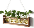 Plant Terrarium Hanging Propagation Stations Gift for Women by YYHglass