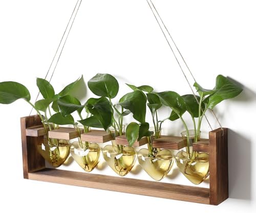 Plant Terrarium Hanging Propagation Stations Gift for Women by YYHglass