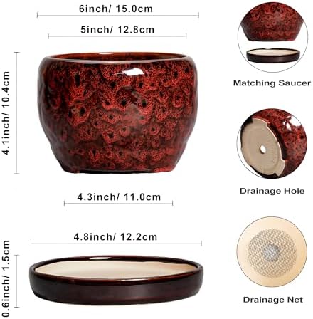 SQOWL Ceramic Pot for Plants - 6 Inch Plant Pot Indoor with Drainage Hole and Saucer, Decorative Flower Pot Outdoor, Round Succulent Planter, Front Porch Decor, House Warming Gifts New Home, Red - Image 3