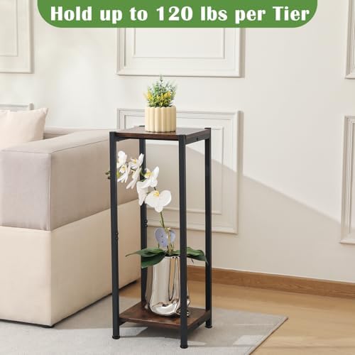 Dipion 31 Inch Tall Plant Stand Indoor,2 Tier Pedestal Stand,Rustic Brown - Image 4