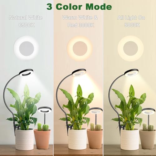 Grow Light,Full Spectrum Pot Clip LED Plant Growth Light with Auto On/Off Timer 3/9/12H,Plant Lamp with 360°Rotatable Gooseneck, 10 Dimmable Brightness, Ideal for Small Indoor Plants, 3 Pack - Image 2