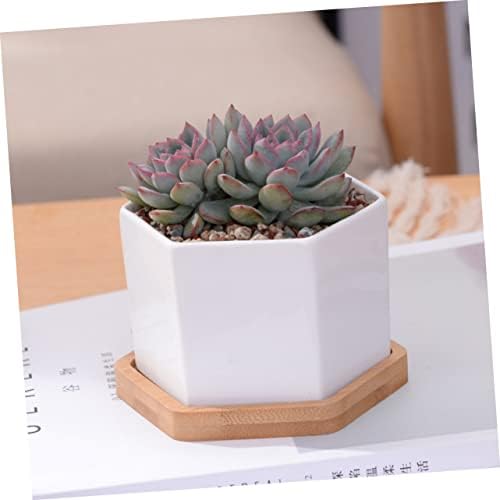 Outanaya Medium Ceramic Succulent Pots Set of 2 with Bamboo Tray Hexagonal Cactus Planter for Home Decor Drainage Design for Potted Plants - Image 7