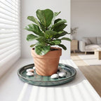 Ceramic Plant Saucer, 11.4 inch, Forest Green - Image 2