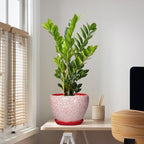 10 Inch Pots for Plants, Ceramic Planter Pots, Crackle Red - Image 5