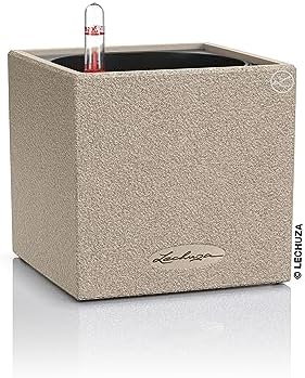 Lechuza Canto Stone 14 Sand Beige, Self-Watering Small Square Planter, H5.5 L5.5 W5.5 in by LECHUZA