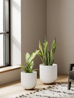 LE TAUCI 6, 8 & 10 Inch Ceramic Planter Set for Indoor Plants, White - Image 6