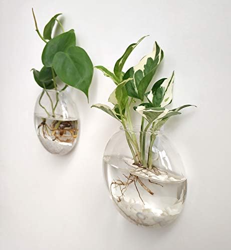 Mkono Wall Hanging Planter Propagation Glass Vase for Hydroponic Plants Home Office Living Room Bathroom Garden Decor - Image 2
